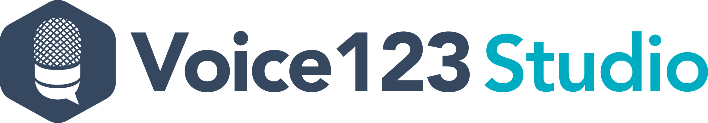 Voice123 - Footer